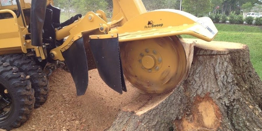 Stump grinding machine cutting a tree stump below ground