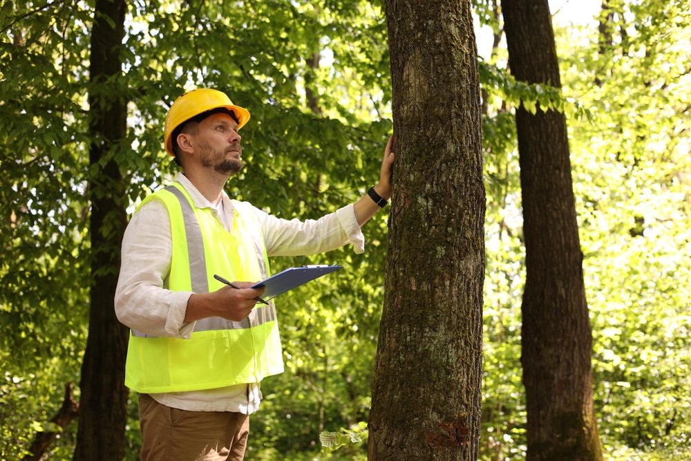 Arborist inspecting tree health in Yakima, WA